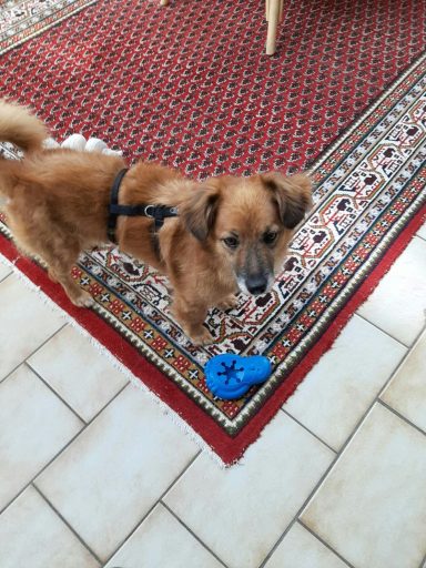 Copper