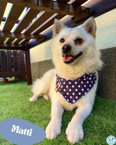 Matti SR