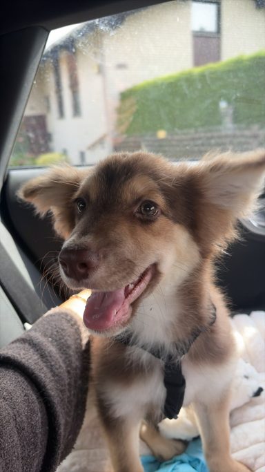 Logan